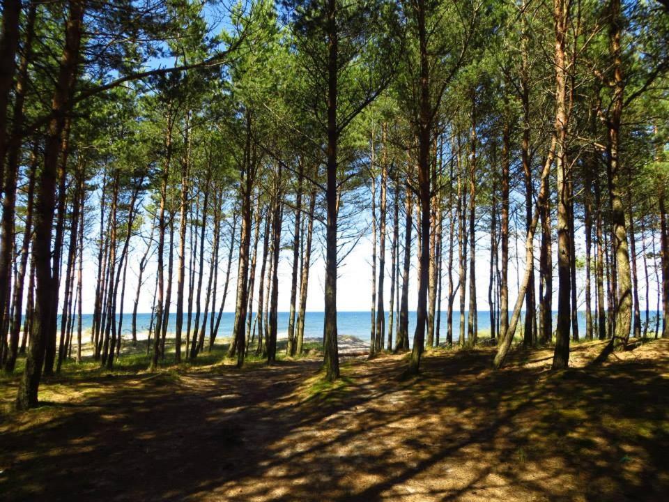 Domki Wczasowe Mielenko Exterior photo